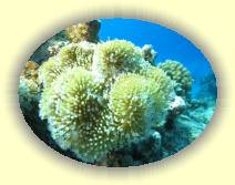 IMG_2007_05_27 18_33_01 * 2240 x 1682 * (553KB)